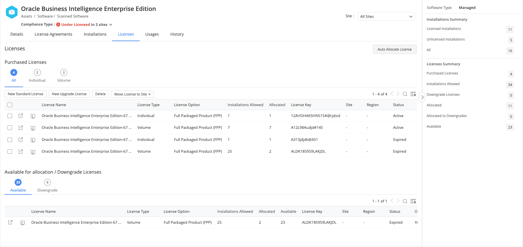 Software license usage
